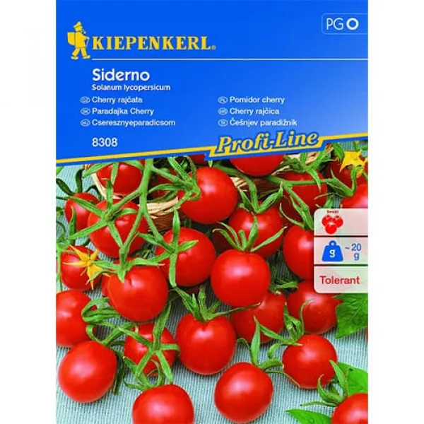 Paradajka Siderno F1