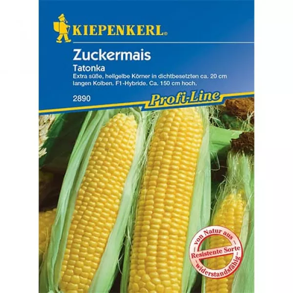 Kukurica cukrová Tatonka