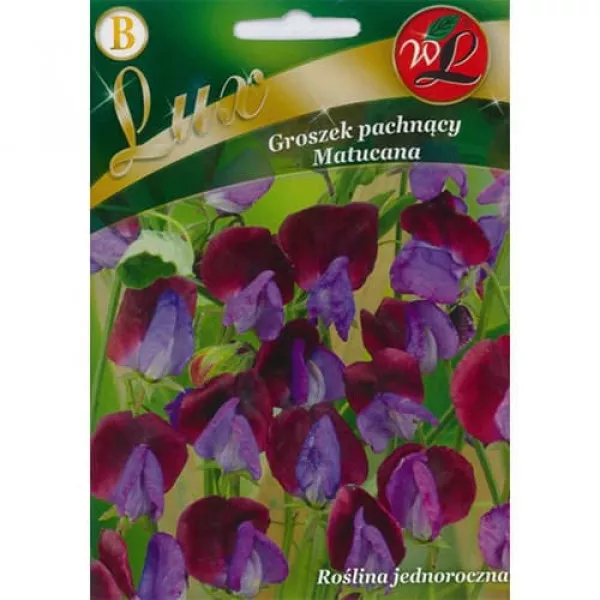 Lathyrus odoratus (Hrachor vonný) Matucana Lathyrus odoratus (Hrachor vonný) Matucana