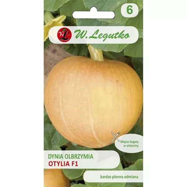 Tekvica obrovská Otylia F1 Tekvica obrovská Otylia F1