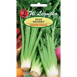 Listový zeler Plein blanc Pascal