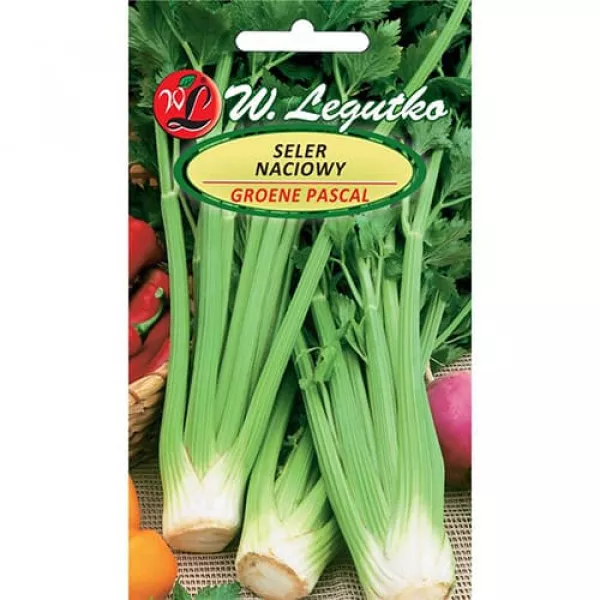 Listový zeler Plein blanc Pascal Listový zeler Plein blanc Pascal