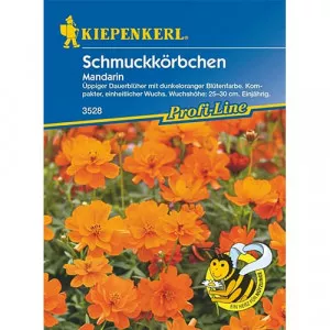 Cosmos Mandarin