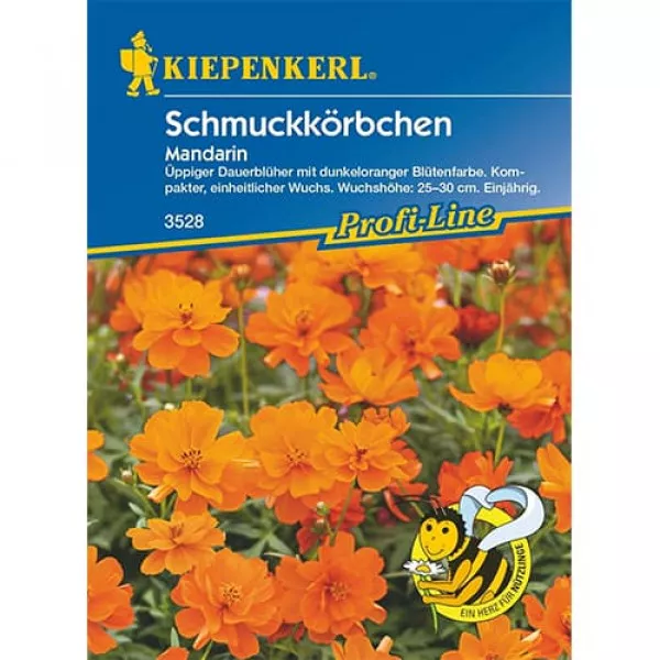 Cosmos Mandarin