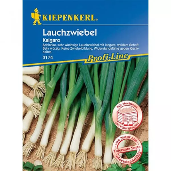 Jarná cibuľa Kaigaro