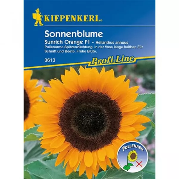 Dekoratívna slnečnica Sunrich Orange F1