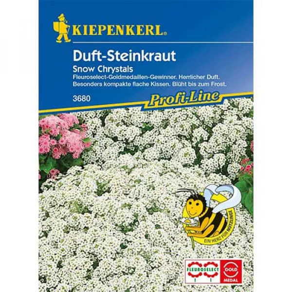 Alyssum Maritima Snow Crystals Alyssum Maritima Snow Crystals