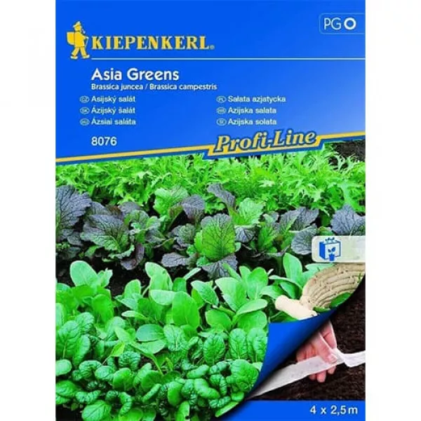 Ázijský šalát Asia Greens, výsevný pásik Ázijský šalát Asia Greens, výsevný pásik