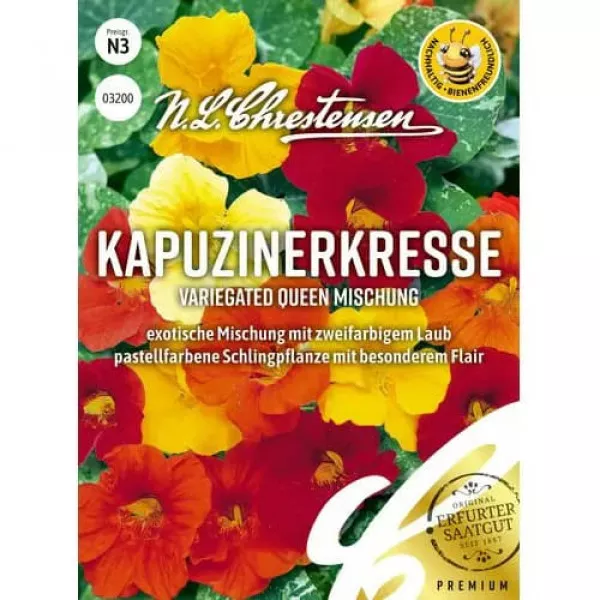 Kapucínka väčšia Queen, mix viacfarebný