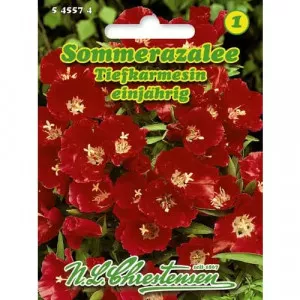 Godetia Deep Crimson