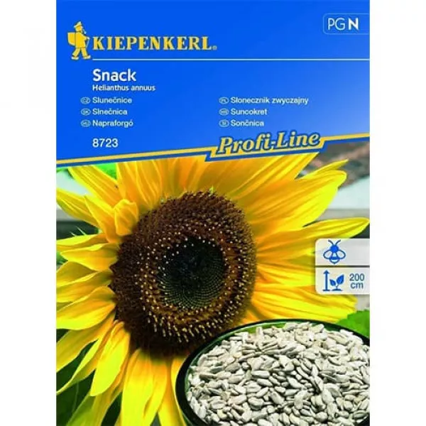 Dekoratívna slnečnica Snack