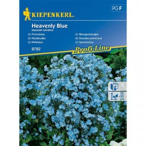 Nezábudka Heavenly Blue
