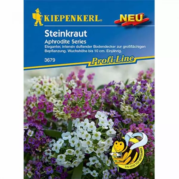 Alyssum Aphrodite Alyssum Aphrodite