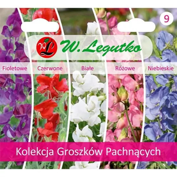 Kolekcia lathyrus odoratus, balenie 5 odrôd