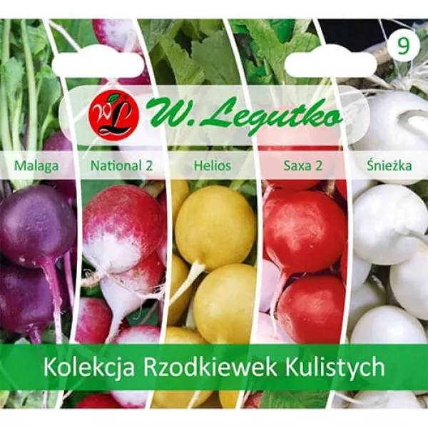 Kolekcia farebných reďkoviek, balenie 5 odrôd Kolekcia farebných reďkoviek, balenie 5 odrôd