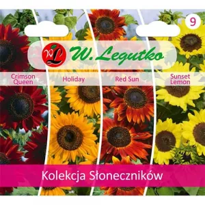 Kolekcia dekoratívnych slnečníc, balenie 4 odrôd