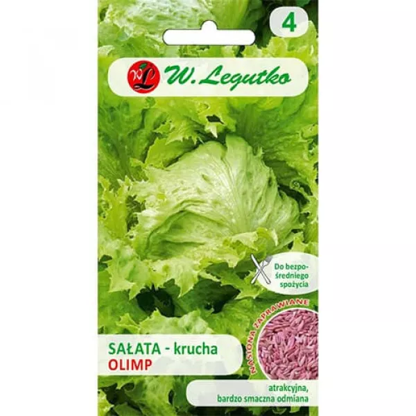 Šalát Iceberg Olimp