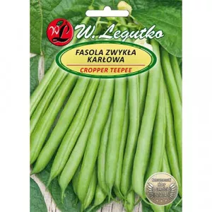 Trpasličia fazuľa Cropper Teepee